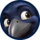 Corvi avatar